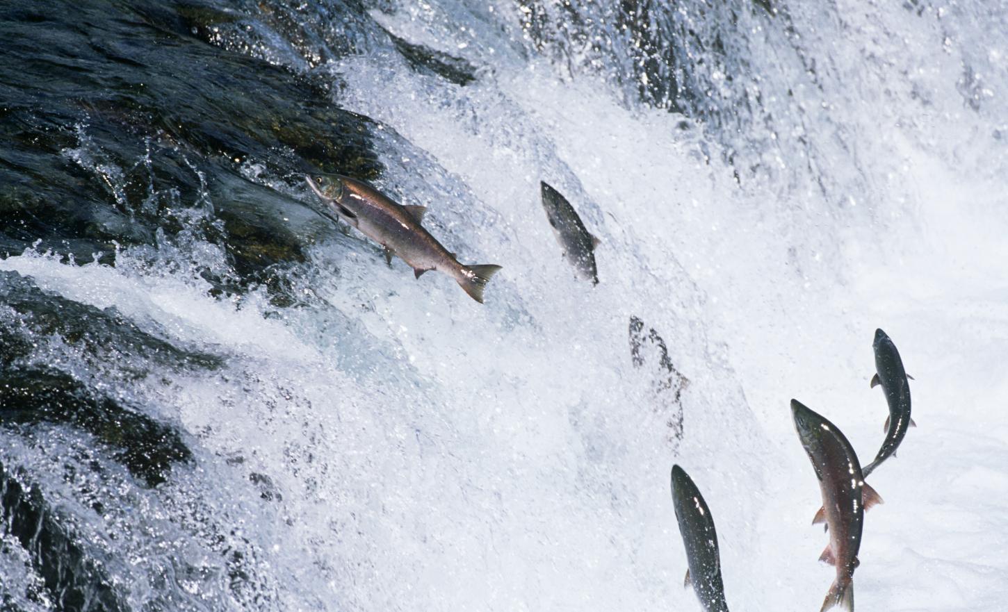 鸿运国际·(中国)官网登录入口